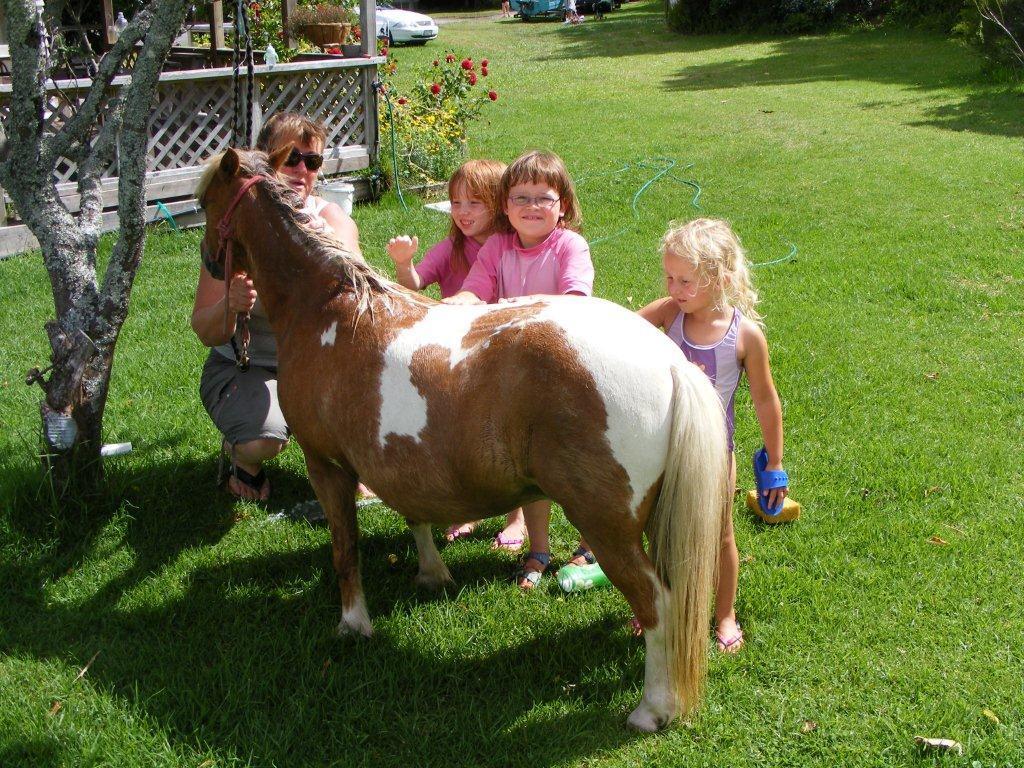 Pukenui Holiday Park Dış mekan fotoğraf