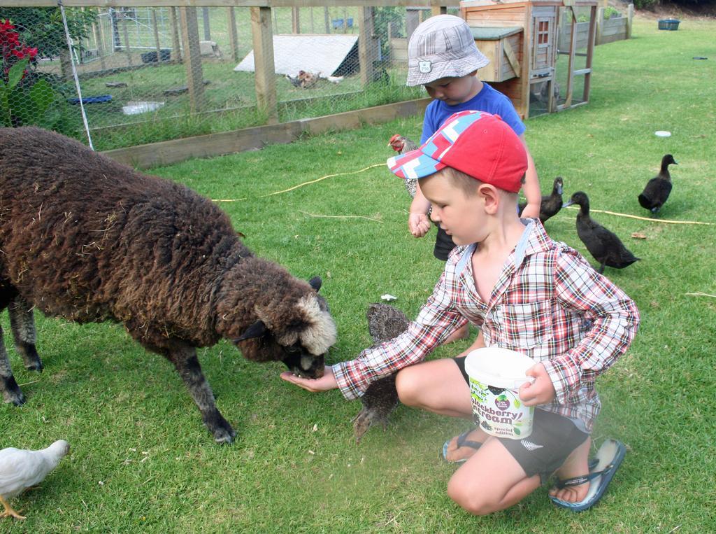 Pukenui Holiday Park Dış mekan fotoğraf